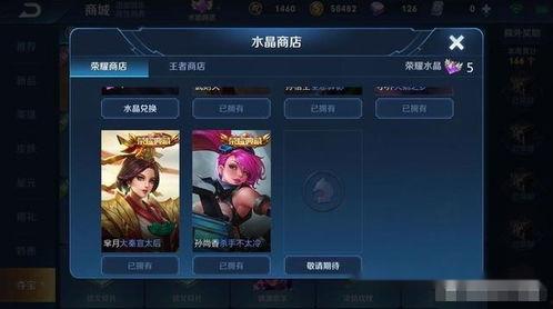 明日典藏皮肤最新爆料,神秘元素与经典重现